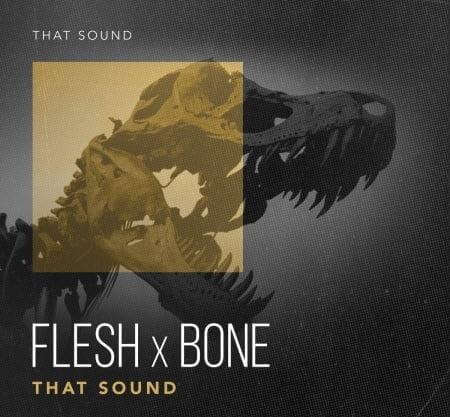 That Sound Flesh X Bone WAV